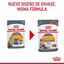 85 g Royal Canin Hair and Skin sobre en salsa para gatos, , large indicador imagen numero 12