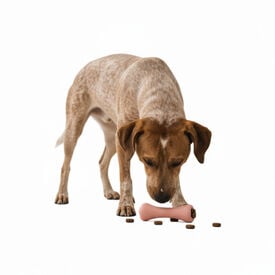 BECO Hueso Portagolosinas de Goma Rosa para perros