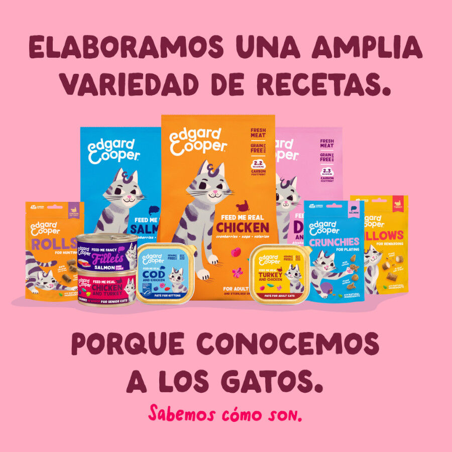 70 g Edgard & Cooper Filetes de Pollo y Gambas Lata para gatos, , large Imagen numero 8