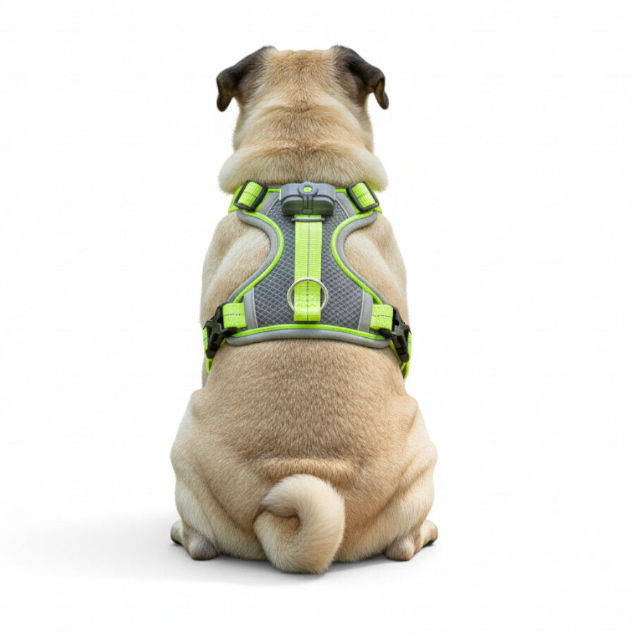 All For Paws K-Nite Arnés con Luz para perros thumbnail