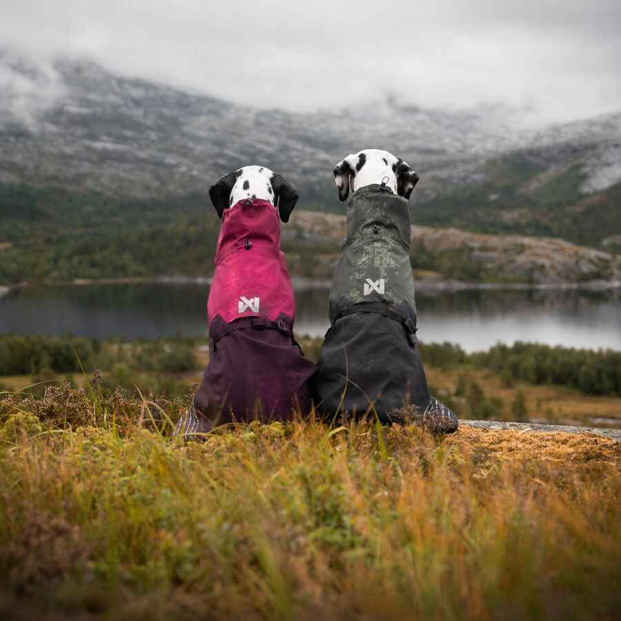 Non-stop dogwear Fjord Chubasquero Impermeable Negro y Verde para perros thumbnail