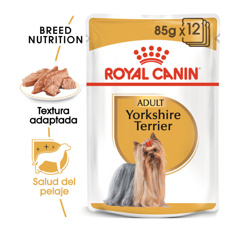 Royal Canin Yorkshire Terrier sobre para perros thumbnail