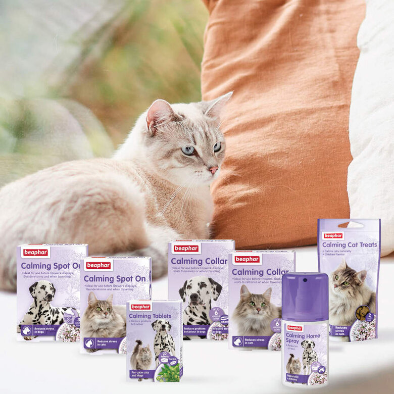 Beaphar Calming Pipetas Relajantes para gatos, , large image number null