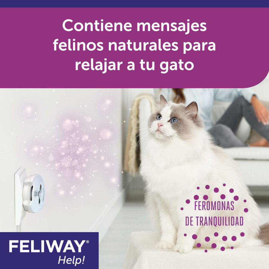 Feliway Help Difusor y Recambio con feromonas para el estr&eacute;s ocasional, , large Imagen numero 5
