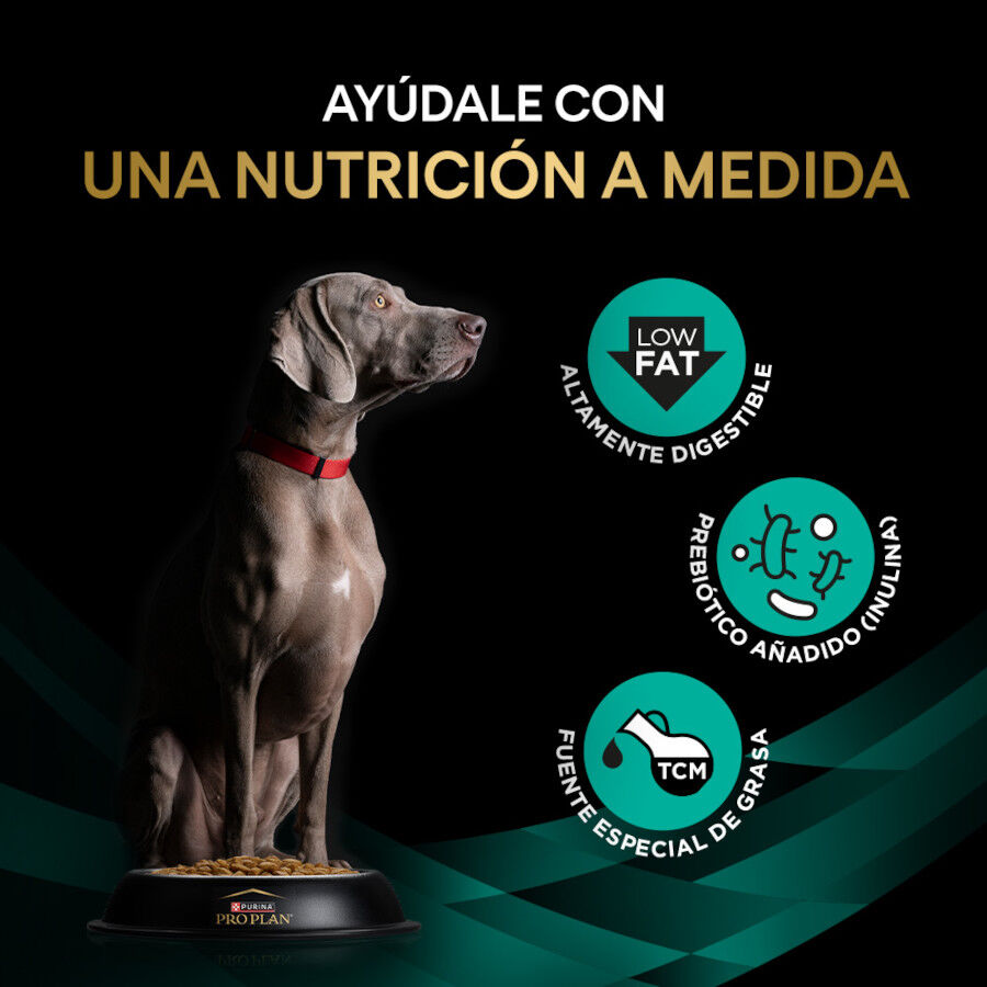 11 Kg Pro Plan Veterinary Gastrointestinal Low Fat para perros, , large Imagen numero 3