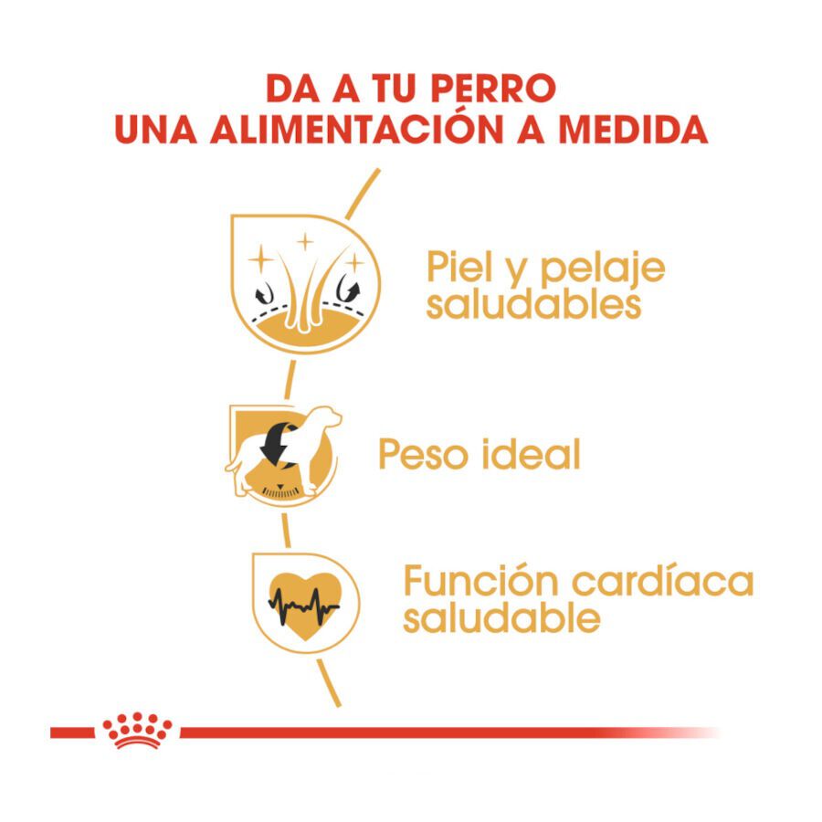 Royal Canin Adult Cocker pienso para perros thumbnail