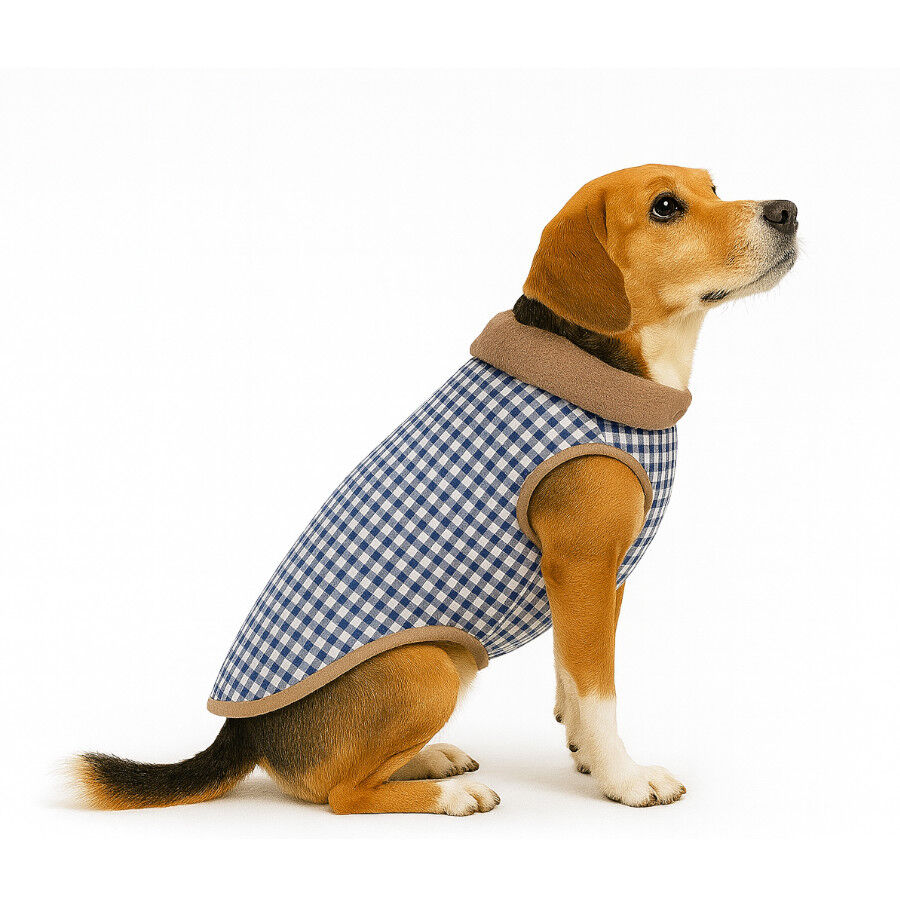 Outech Abrigo Estampado Vichy Azul para perros thumbnail