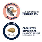 comida_gatos_advance_affinity_adult_sensitive_sterilized_tamano_croqueta_ADV578110_M.jpg image number null