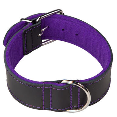 Arppe Superfelt Choppers Collar Negro con Púrpura para perros  