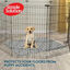 Simple Solution Alfombrillas Lavables para perros – Pack 2, , large indicador imagen numero 4