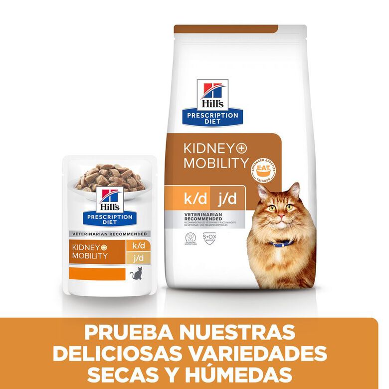 Hill&#039;s Prescription Diet Kidney k/d + Mobility j/d Pollo pienso gatos thumbnail