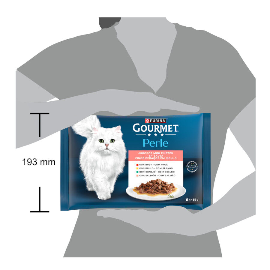 4 sobres x 85 g Gourmet Perle Filetes en salsa sobre para gatos, , large Imagen numero 5