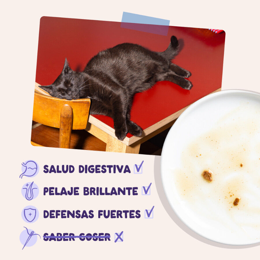 85 g Edgard & Cooper Pato & Pavo sobre en salsa para gatos, , large Imagen numero 4