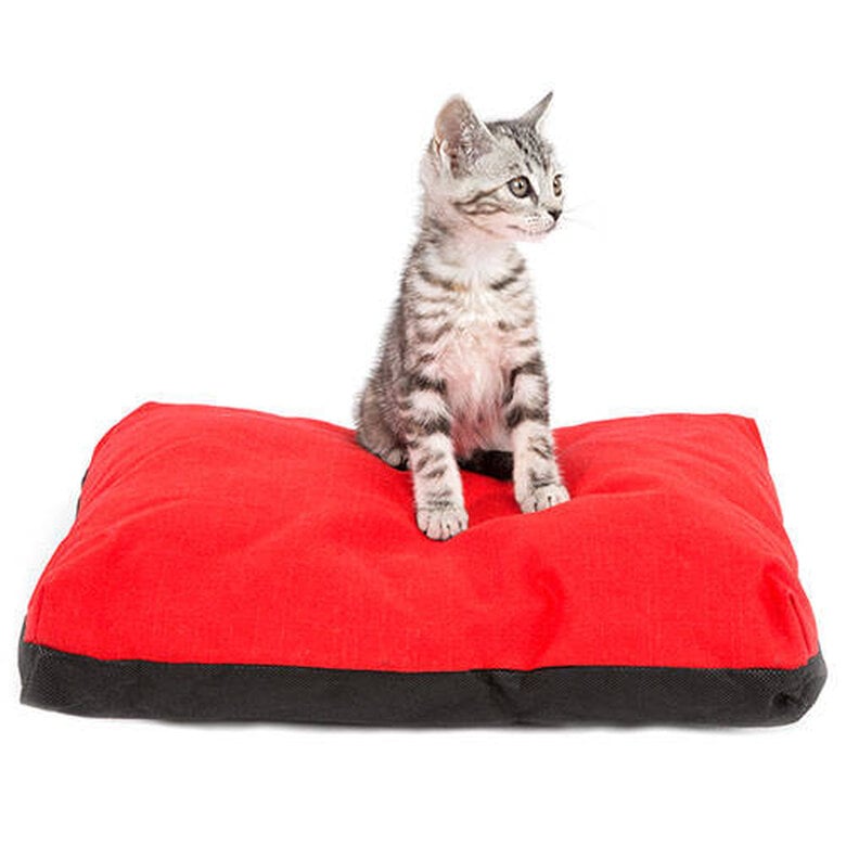 TK Pet Mini Brutus mini cama para mascotas Imagen numero 1 TK Pet Mini Brutus mini cama para mascotas Imagen numero 1