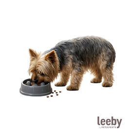Leeby Comedero Antivoracidad Azul con Relieve de Huella para perros