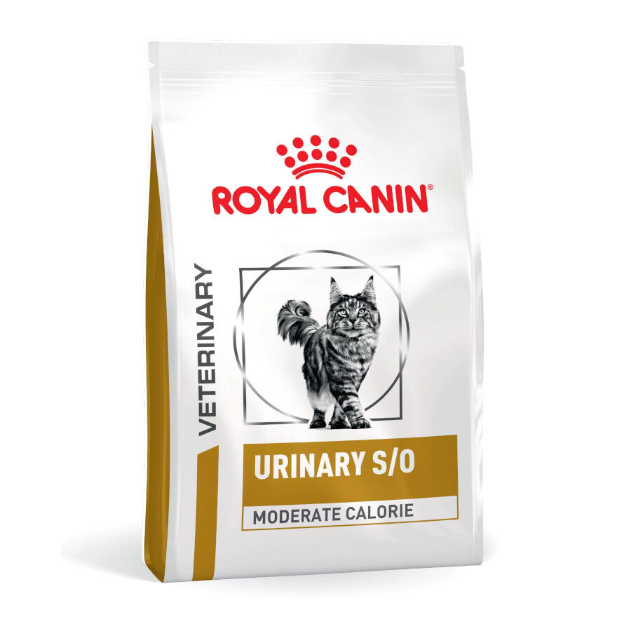 9 kg Royal Canin Veterinary Urinary S/O Moderate Calorie pienso para gatos, , large Imagen numero 1