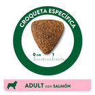 Libra Adult Salmón pienso para perros, , large image number null