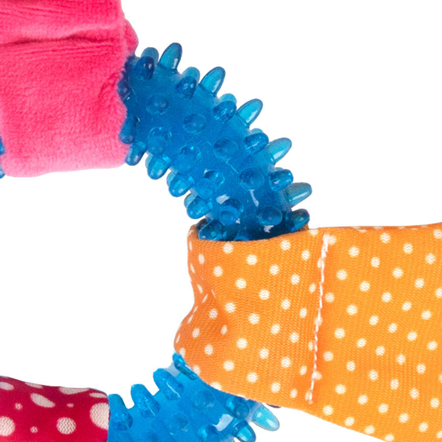 Tootoy! Chew Ring Hippo Multicolor Mordedor para cachorros thumbnail