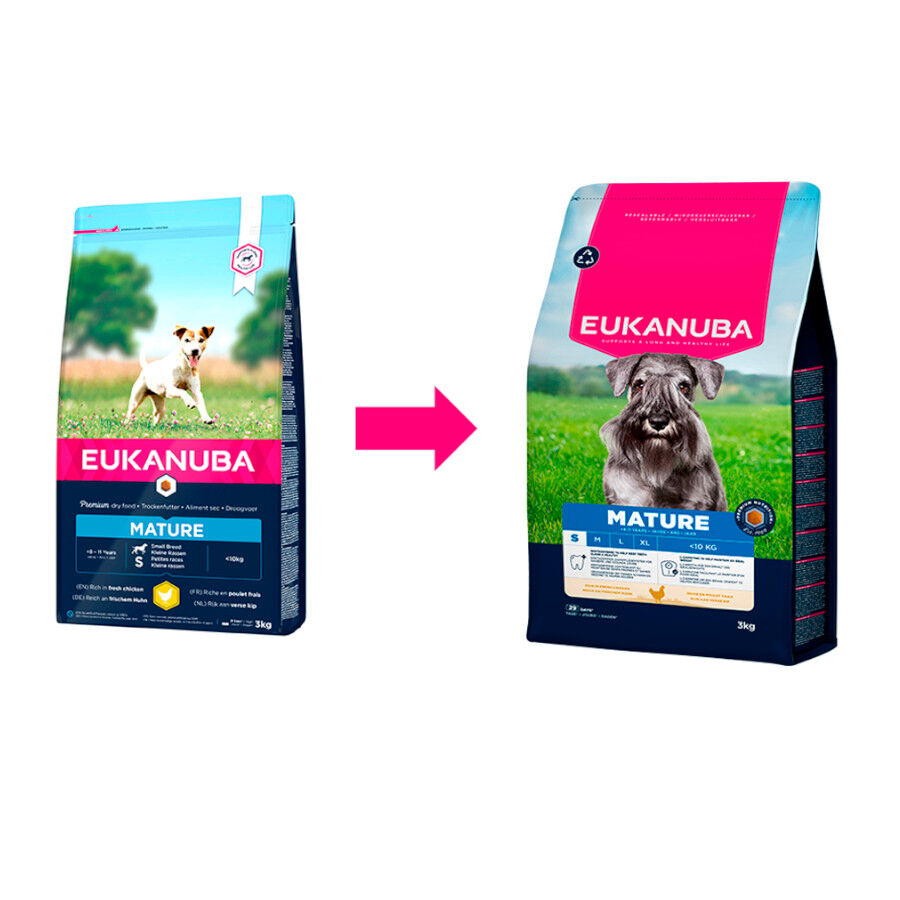 Eukanuba Mature&Senior Small Pollo pienso para perros