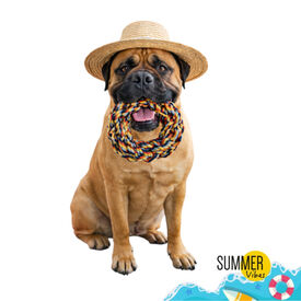 Summer Vibes Mordedor Anillo de Cuerda Juguete para perros