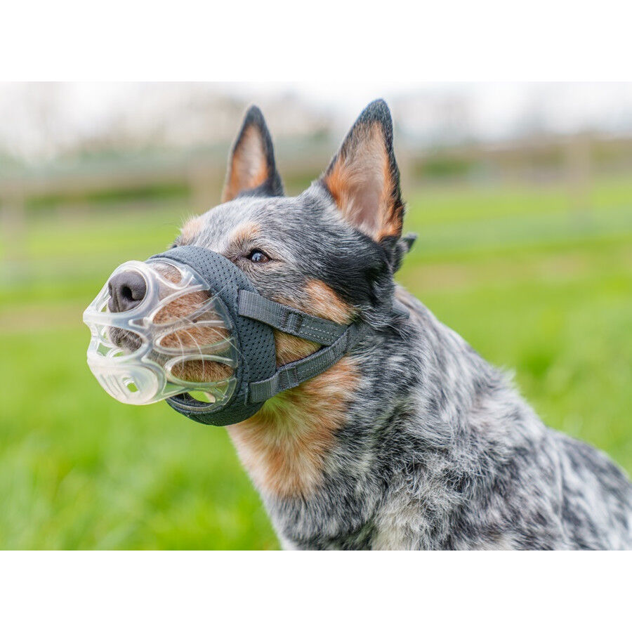 Baskerville Invisa bozal moldeable para perros thumbnail