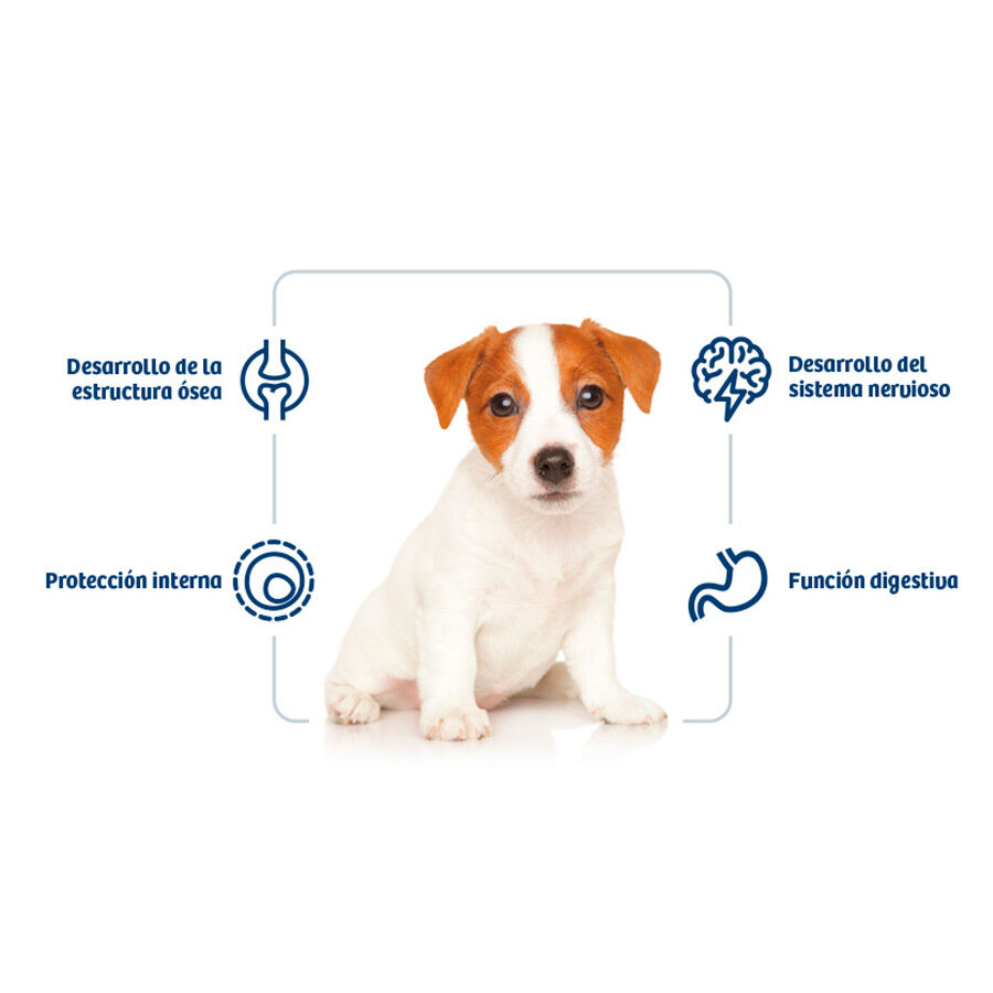 Nath Puppy Mini Pollo pienso para perros thumbnail