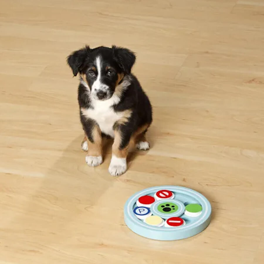 Flamingo Juguete interactivo para perros thumbnail