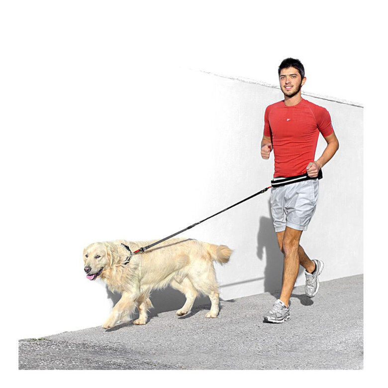 Ferplast Cinturón y Correa Canicross para perros,  Imagen numero 2 Ferplast Cinturón y Correa Canicross para perros, , large Imagen numero 2