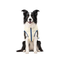 Goto Abrigo Reversible Acolchado para perros, , large indicador imagen numero 7