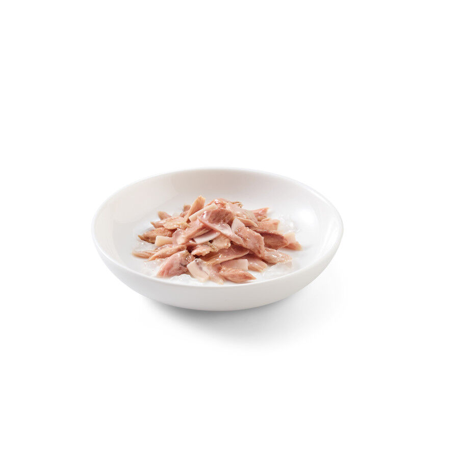 85 g Schesir Adult At&uacute;n con Jam&oacute;n de pollo sobre para gatos, , large Imagen numero 2
