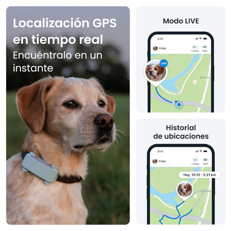 Tractive GPS Dog 6 Marrón Rastreador para perros thumbnail