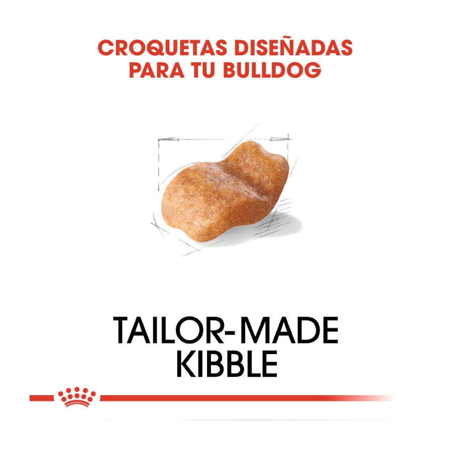 Royal Canin Adult Bulldog pienso para perros thumbnail