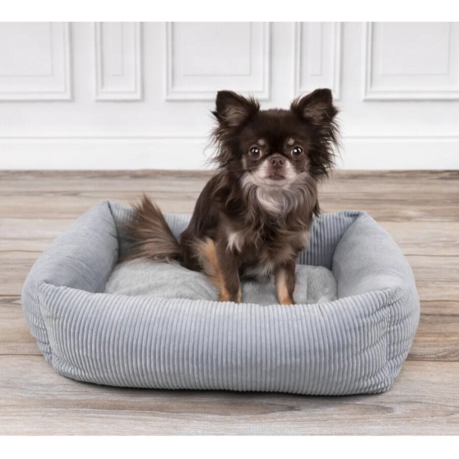 Flamingo Colette Rect&aacute;ngulo Azul cama cuna para perros, , large Imagen numero 3