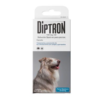 Diptron Spot On Mediano Pipeta Antiparasitaria para perros