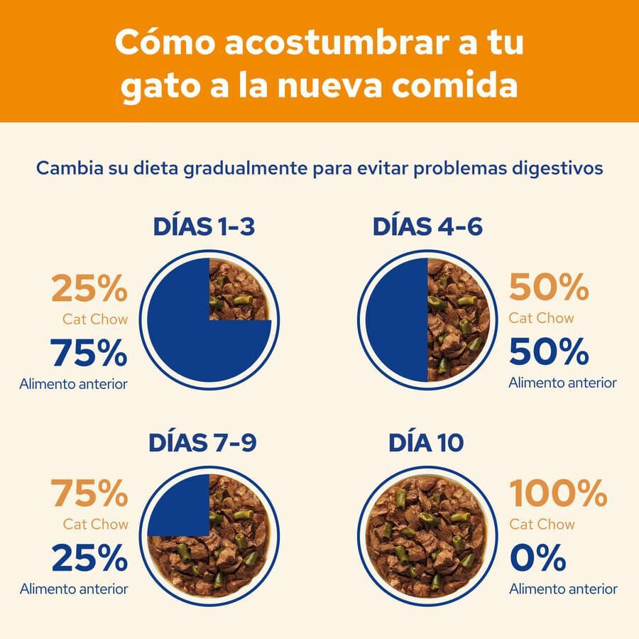 Cat Chow Buey en Gelatina thumbnail