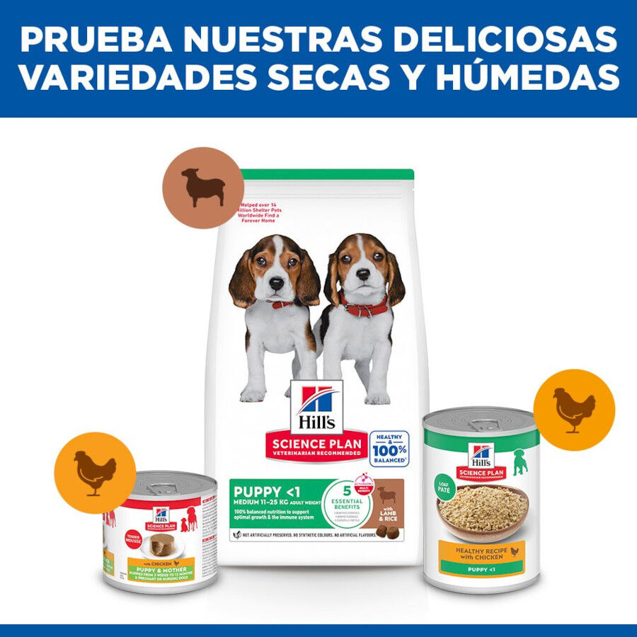 14 kg Hill's Science Plan Puppy Medium Cordero y arroz Pienso para perros, , large Imagen numero 8