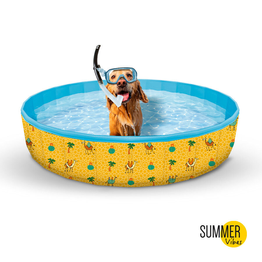Summer Vibes Piscina para perros thumbnail