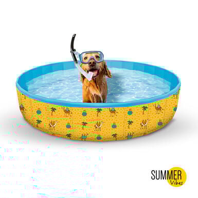 Summer Vibes Piscina para perros