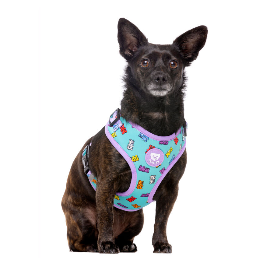 Dukier Gummy Bears Arnés Ajustable para perros thumbnail