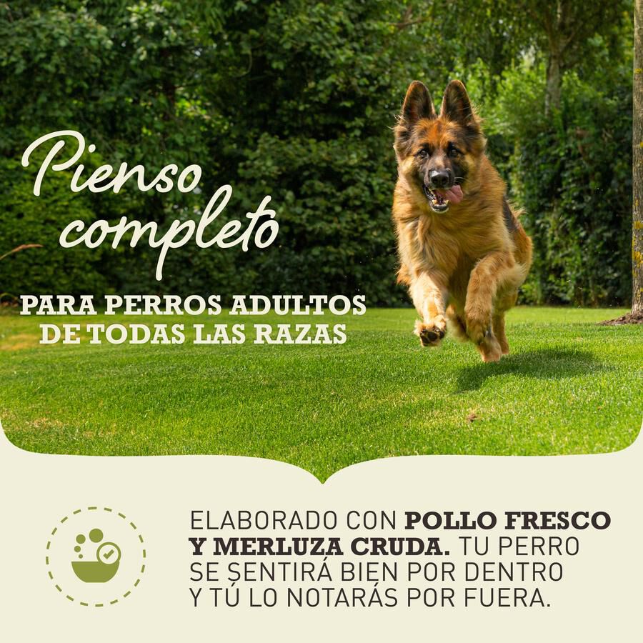 Acana Senior pienso para perros thumbnail