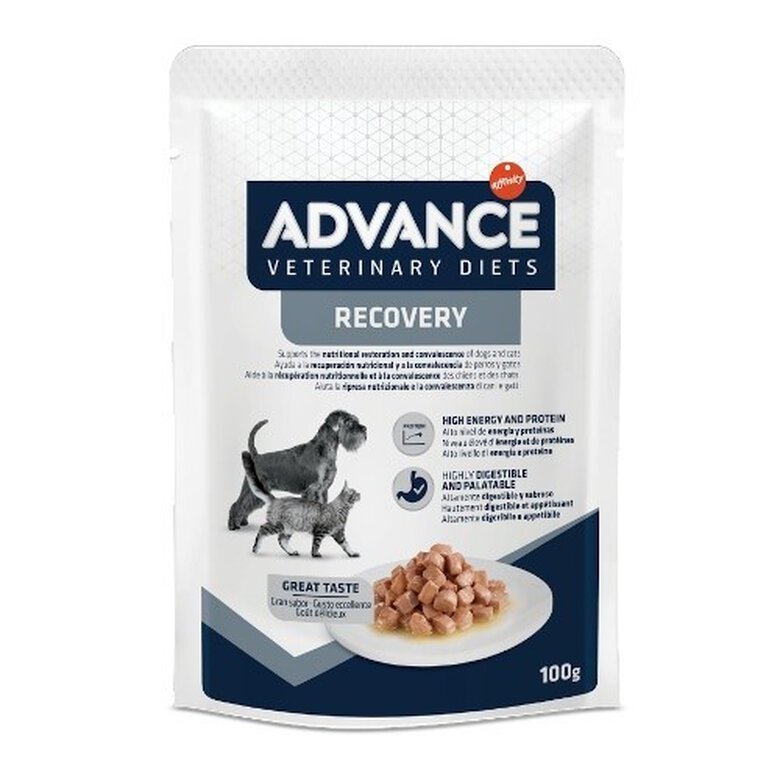 Advance Recovery Sobre para perros y gatos, , large image number null