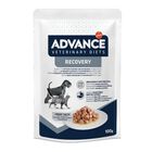 Advance Recovery Sobre para perros y gatos, , large image number null