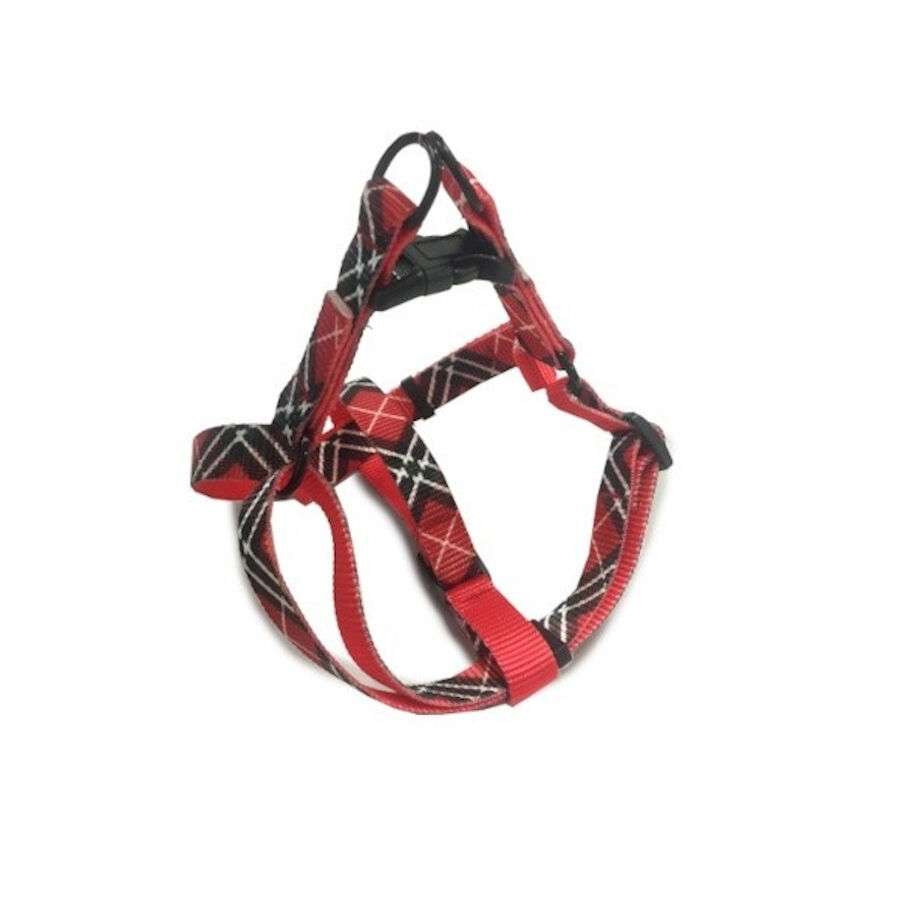 Outech Arn&eacute;s Estampado Cuadros para perros, , large Imagen numero 1