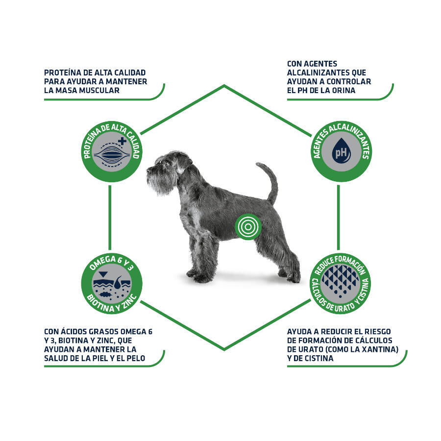 Advance Veterinary Diets Urinary Low Purine pienso para perros thumbnail