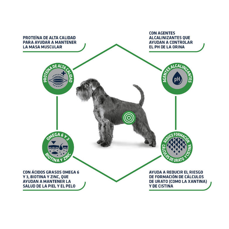 Advance Dog Urinary Low Purine pienso para perros, , large image number null