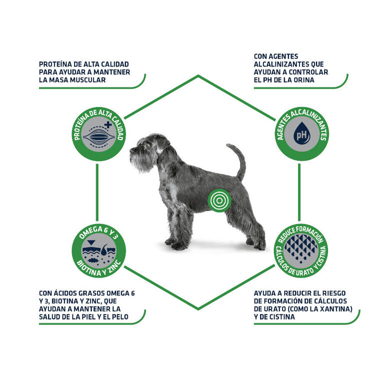 Advance Veterinary Diets Urinary Low Purine pienso para perros thumbnail