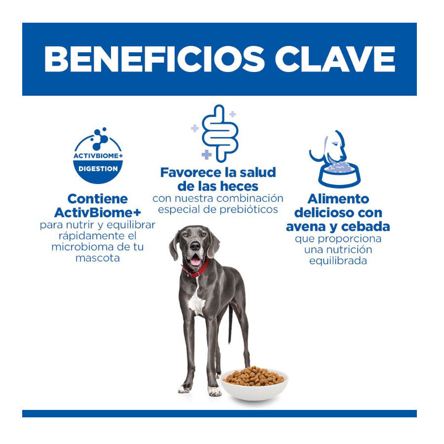 14 kg Hill's Science Plan Perfect Digestion Adult large Pollo pienso para perros, , large Imagen numero 3
