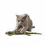 Playology Juguete Lagarto Realista para gatos, , large indicador imagen numero 4