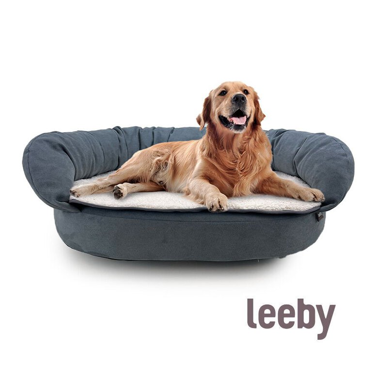 Leeby Sofá Ortopédico Viscoelástico Gris para perros,  Imagen numero 2 Leeby Sofá Ortopédico Viscoelástico Gris para perros, , large Imagen numero 2