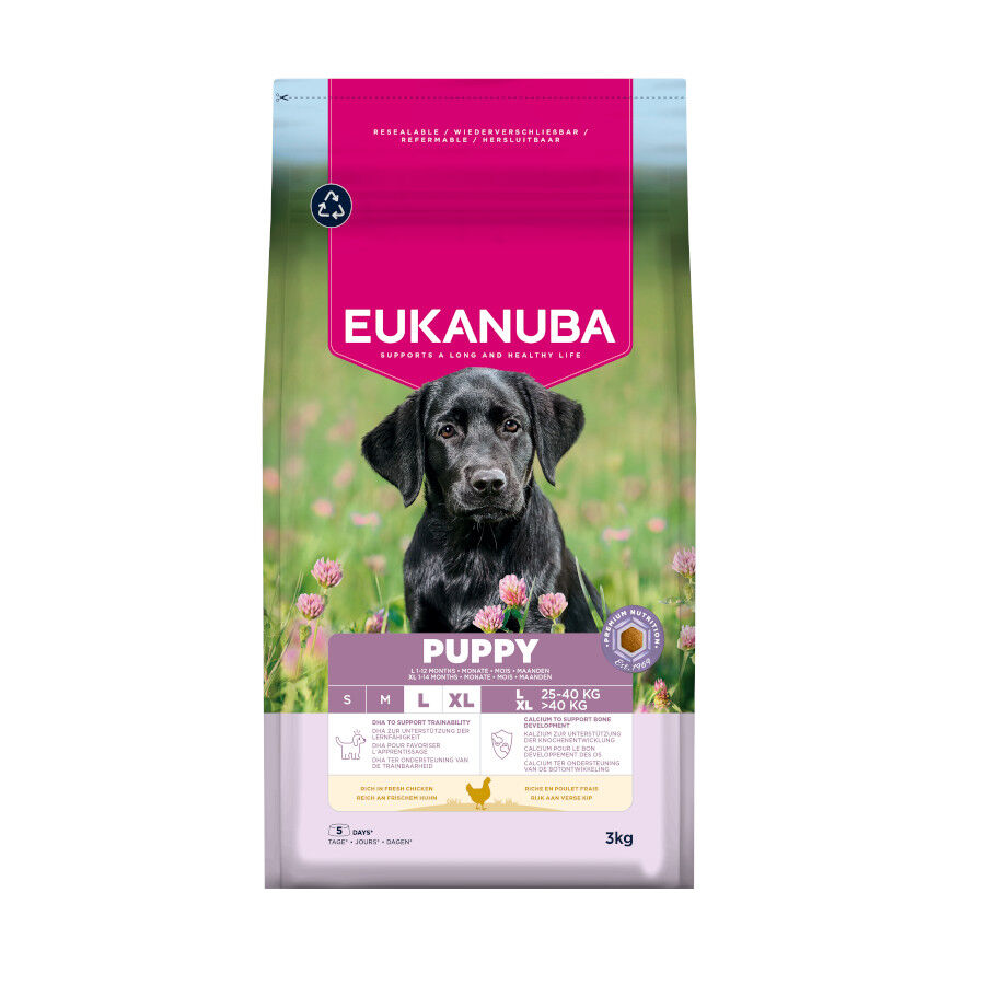 3 kg Eukanuba Puppy Large Pollo pienso para perros, , large Imagen numero 1